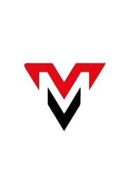Vioblue Metaweb LLP Logo
